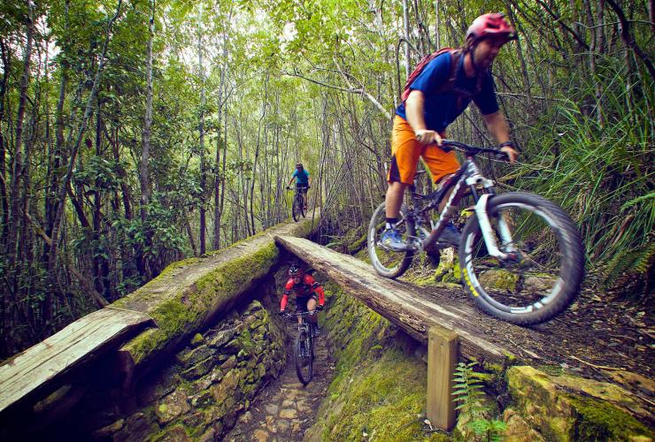 Đường đua Bắc-Nam, Núi Wellington, TAS © Tourism Tasmania & cung cấp cho phép Flow Mountain Bike Đường đua Bắc-Nam, Núi Wellington, TAS © Tourism Tasmania & cung cấp cho phép Flow Mountain Bike