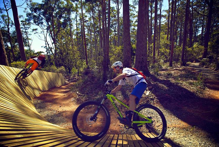Công viên xe đạp leo núi Hollybank, Underwood, TAS © Tourism Tasmania & được cung cấp bởi Flow Mountain Bike Công viên xe đạp leo núi Hollybank, Underwood, TAS © Tourism Tasmania & được cung cấp bởi Flow Mountain Bike