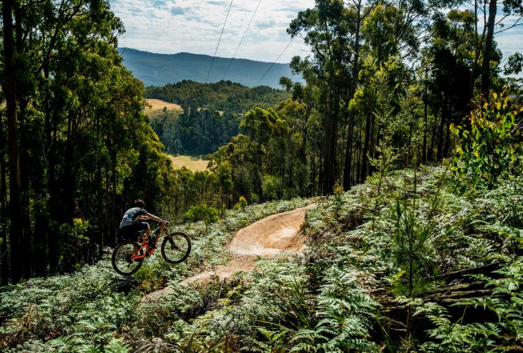 Đường mòn xe đạp leo núi Wild Mersey, Latrobe, TAS © Revolution MTB Đường mòn xe đạp leo núi Wild Mersey, Latrobe, TAS © Revolution MTB