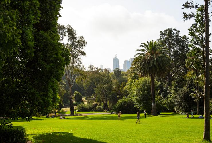 Vườn Bách thảo Hoàng gia, Melbourne, VIC © Ghé thăm Victoria Vườn Bách thảo Hoàng gia, Melbourne, VIC © Ghé thăm Victoria