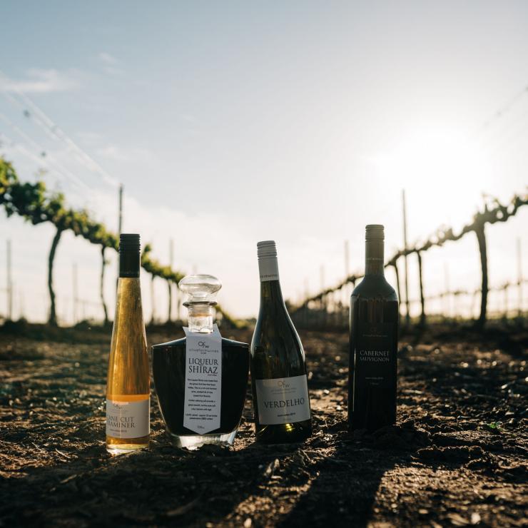 Vườn nho của Olive Farm Wines, Swan Valley WA © Boomtown Pictures Vườn nho của Olive Farm Wines, Swan Valley WA © Boomtown Pictures