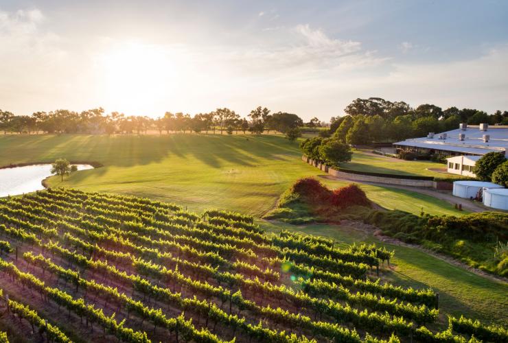 Nhà máy rượu Sandalford ở Thung lũng © Thiên Nga Joel Barbitta Nhiếp ảnh DMAX Nhà máy rượu Sandalford ở Thung lũng © Thiên Nga Joel Barbitta Nhiếp ảnh DMAX