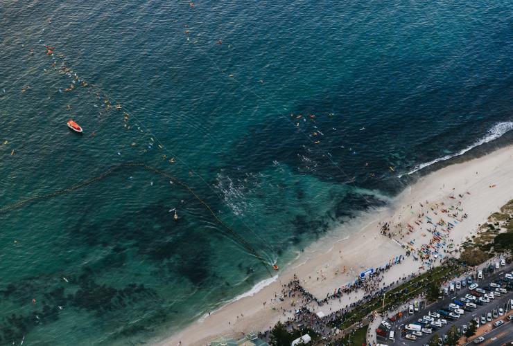 Ảnh chụp từ trên không của Rottnest Channel Swim, Cottesloe Beach, WA © Tourism Western Australia