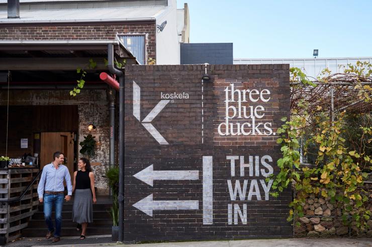 Three Blue Ducks, Rosebery, New South Wales © Điểm đến NSW Three Blue Ducks, Rosebery, New South Wales © Điểm đến NSW