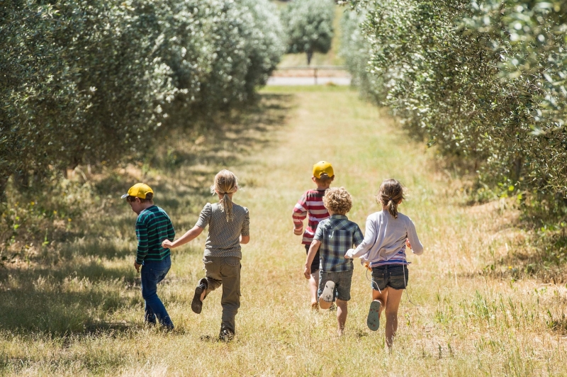 西澳州珊瑚海岸Silverdale Olive Orchard©澳洲珊瑚海岸 西澳州珊瑚海岸Silverdale Olive Orchard©澳洲珊瑚海岸