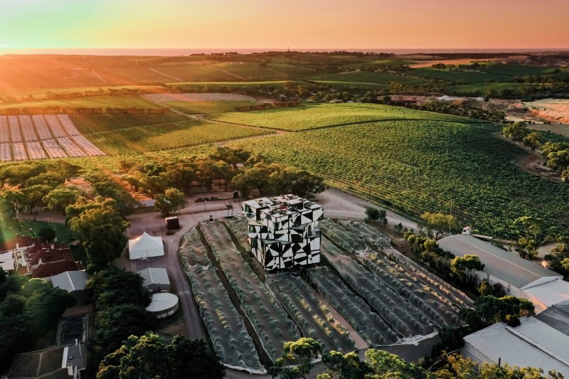 南澳麥拿倫谷黛倫堡酒莊(d'Arenberg Winery)©Trent Martin Photography 南澳麥拿倫谷黛倫堡酒莊(d'Arenberg Winery)©Trent Martin Photography