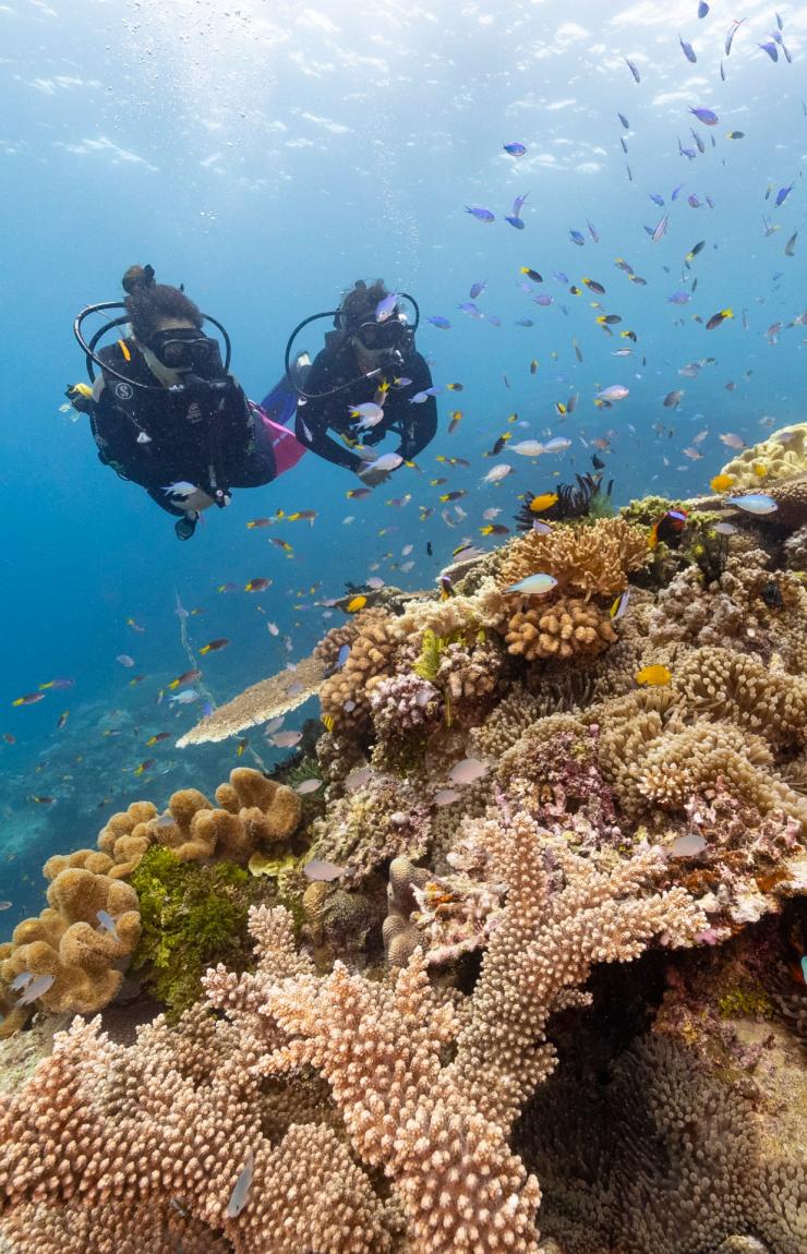 昆士蘭州大堡礁(Great Barrier Reef)約翰布魯爾礁(John Brewer Reef)©昆士蘭旅遊及活動推廣局 昆士蘭州大堡礁(Great Barrier Reef)約翰布魯爾礁(John Brewer Reef)©昆士蘭旅遊及活動推廣局