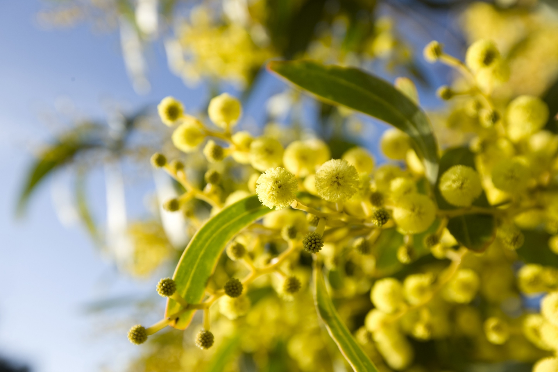 維多利亞州（Victoria）洛恩（Lorne）©Great Ocean Road Marketing