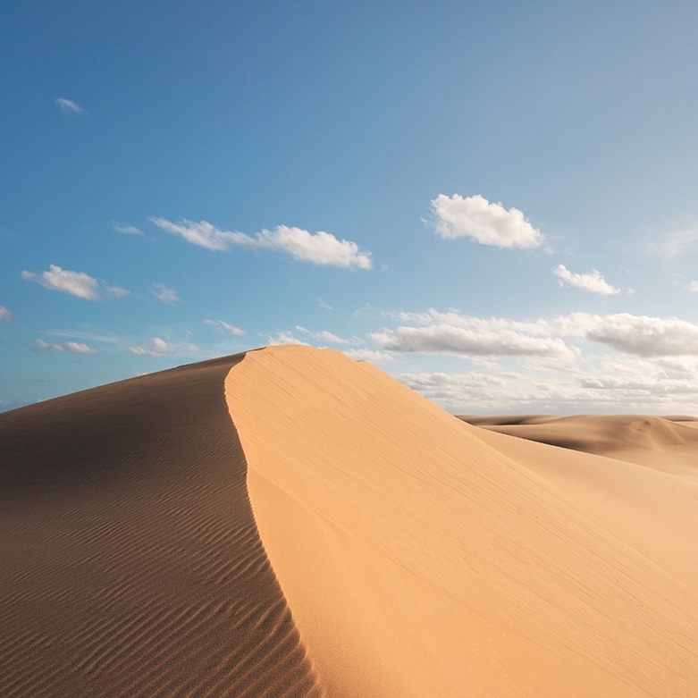 史蒂芬斯港（Port Stephens）附近的斯托克頓沙丘（Stockton Sand Dunes）上的沙丘©新南威爾士州旅遊局