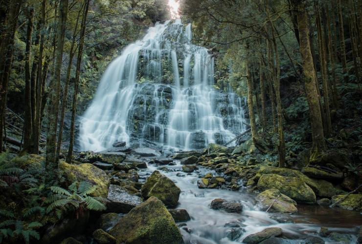 塔斯曼尼亞（TAS）佛蘭克林戈登原野河國家公園（Franklin-Gordon Wild Rivers National Park）尼爾遜瀑布（Nelson Falls）©Jess Bonde