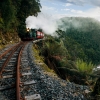塔斯曼尼亞思特雅寒West Coast Wilderness Railway©Nick Osborne