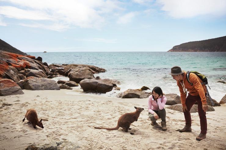 塔斯曼尼亞（TAS）菲欣納國家公園（Freycinet National Park）的菲欣納體驗徒步之旅（Freycinet Experience Walk）©澳洲旅遊局