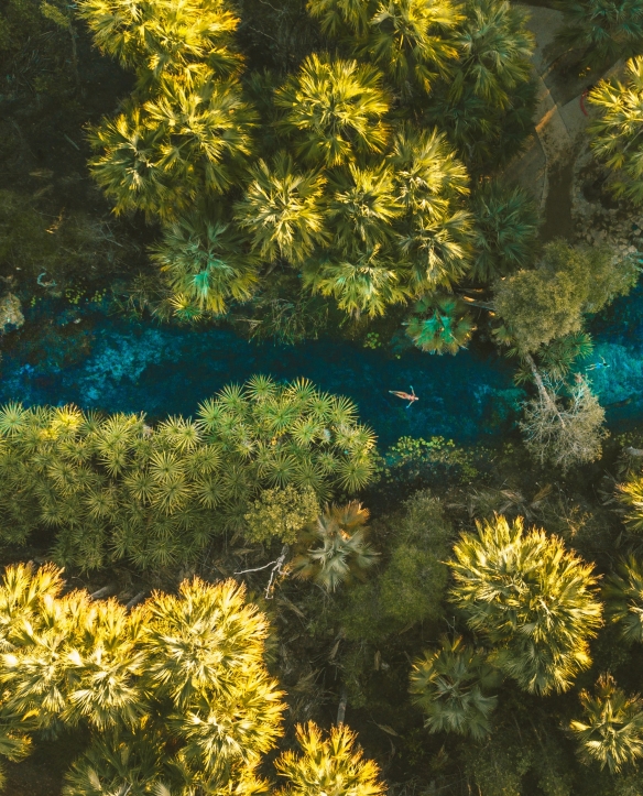 北領地埃爾西國家公園苦泉©北領地旅遊局Mitch Cox