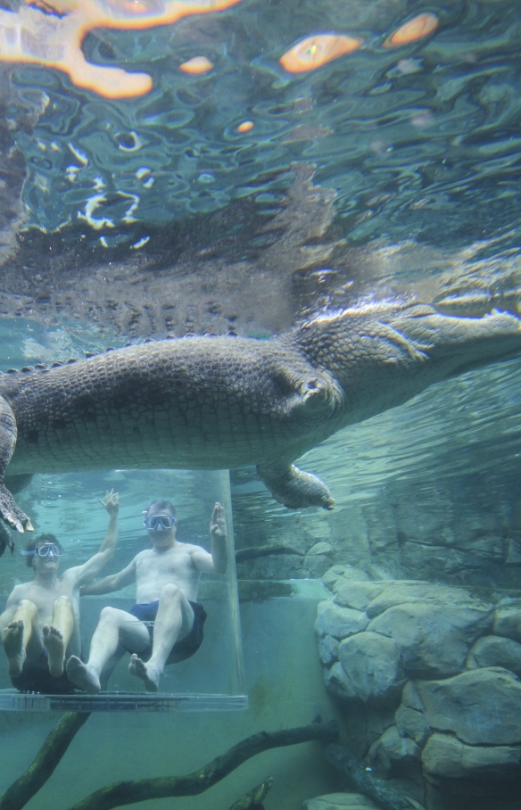 北領地達爾文鱷魚主題公園（Crocosaurus Cove）©澳洲旅遊局