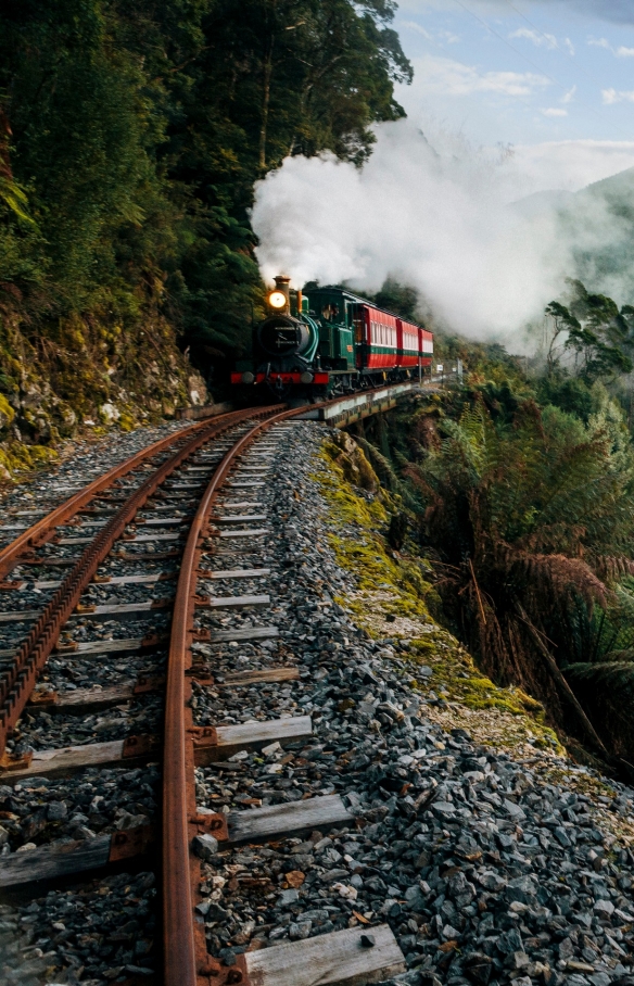 塔斯曼尼亞思特雅寒West Coast Wilderness Railway©Nick Osborne