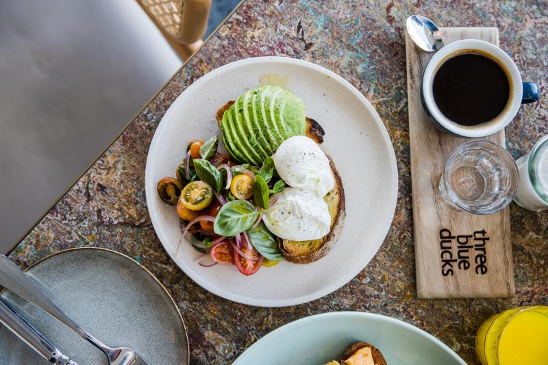 新南威爾士州布朗特的 Three Blue Ducks©Nikki To