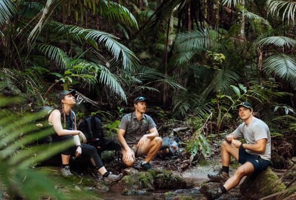 蹲坐在開恩茲Lamb Range山中的行山人士©FNQ Nature Tours