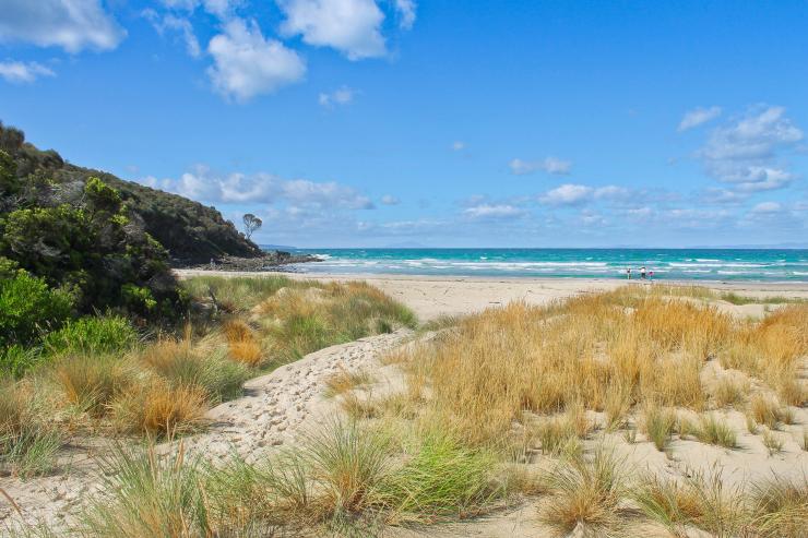 Sandpiper Beach, Swanwick, Freycinet National Park, Tasmania ©  Tourism Tasmania & Kathryn Leahy