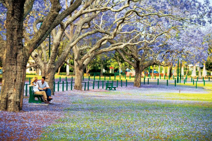 New Farm Park, Brisbane, Queensland © Tourism and Events Queensland 