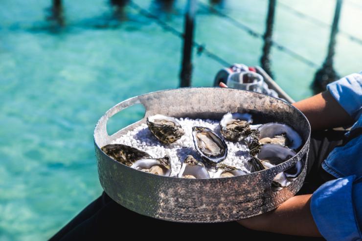 Oyster Farm Tours, Eyre Peninsula, South Australia © South Australian Tourism Commission