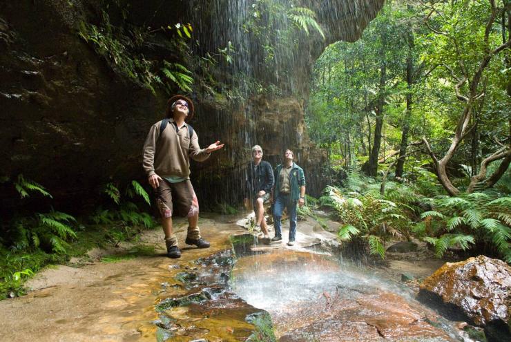 Waterfall, Blue Mountains, New South Wales © NSW Office of Environment and Heritage