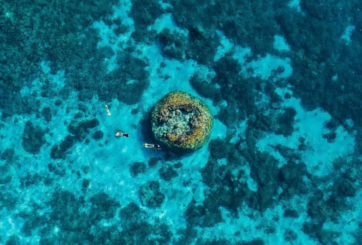Wilson Island, Great Barrier Reef, Queensland © Tourism and Events Queensland