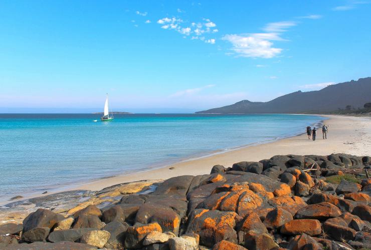 Eine kleine Personengruppe auf einer geführten Wanderung entlang eines ruhigen Strands mit Freycinet Adventures, Wineglass Bay, Tasmanien © Tourism Tasmania/Kathryn Leahy