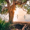 Paddleboarding, Noosa, Queensland © Tourism and Events Queensland