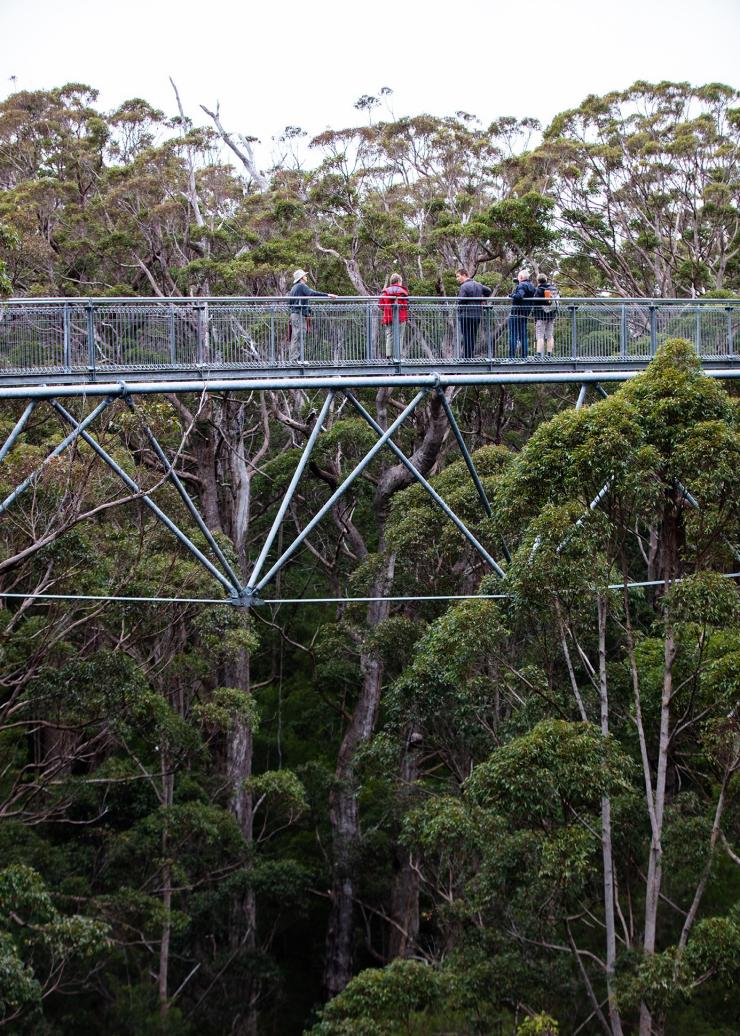 Valley of the Giants, Walpole, WA © Tourism Australia