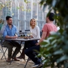  Friends having brunch at Three Blue Ducks, Rosebery New South Wales © Destination NSW
