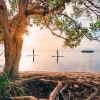 Paddleboarding, Noosa, QLD © Tourism and Events Queensland