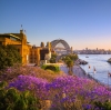 Jacarandas and Sydney Harbour at sunset, Sydney, NSW © Destination NSW