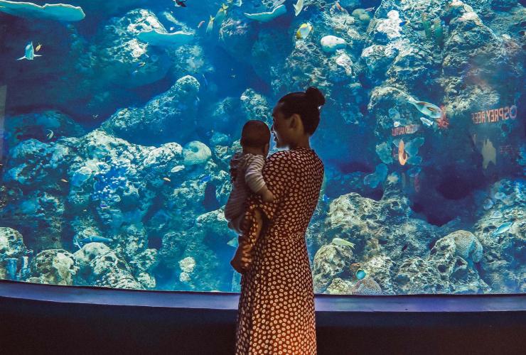 Cairns Aquarium, Cairns, Queensland © Tourism Tropical North Queensland