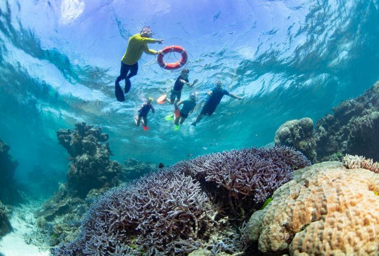 Dreamtime Dive and Snorkel, Cairns, Queensland © Tourism and Events Queensland