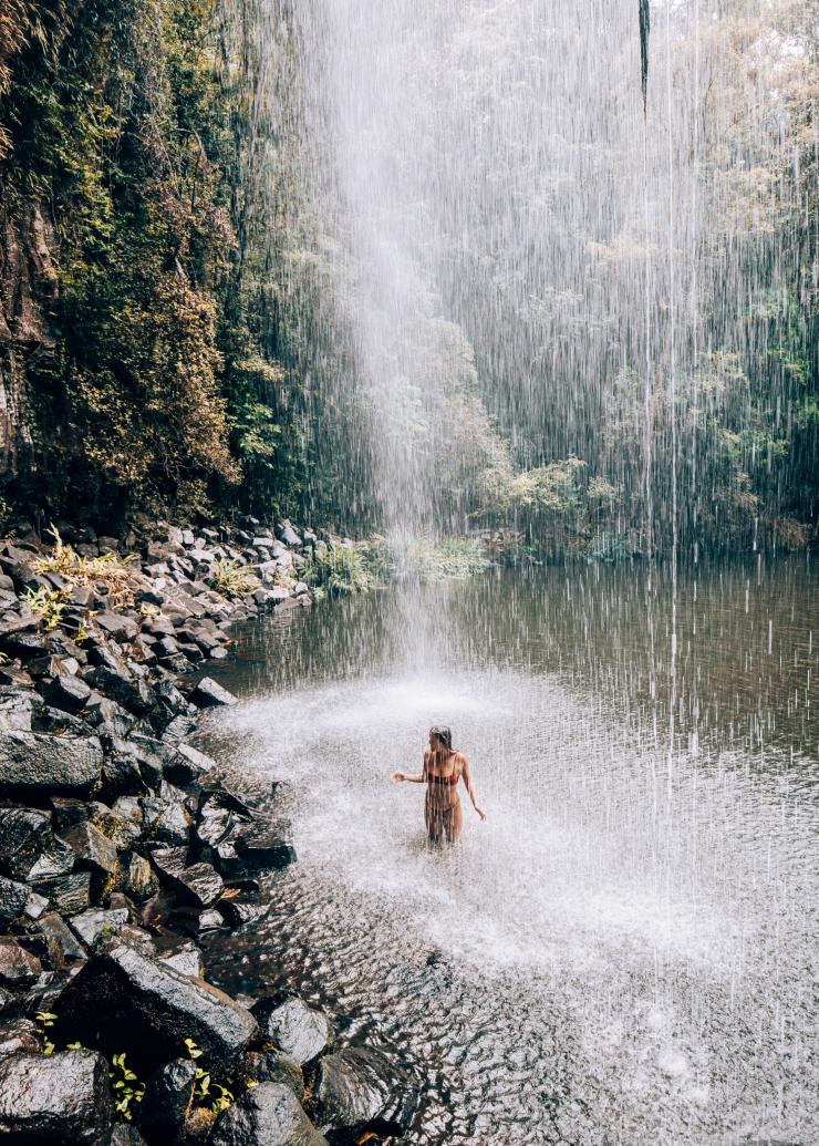 Millaa Millaa Falls, Millaa Millaa, QLD © Tourism and Events Queensland/Kyle Hunter