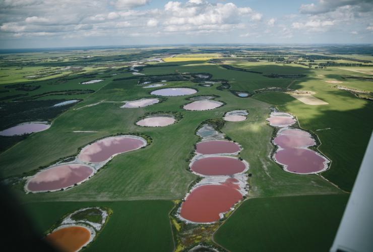Aerial view from aboard a scenic flight overlooking the series of Pink and Rainbow Lakes spread across grassy pastures in the Golden Outback, Western Australia © Golden Outback