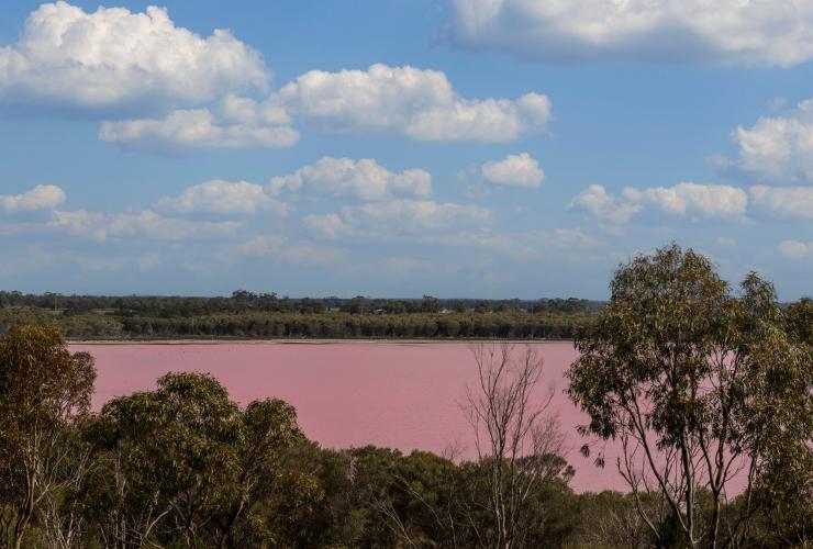 View through the trees looking towards a pink lake in Dimboola, Victoria © Visit Victoria
