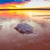 View of a vibrant blue and gold sunset reflecting on a pink lake in Murray-Sunset National Park, Victoria © Murray Regional Tourism Board