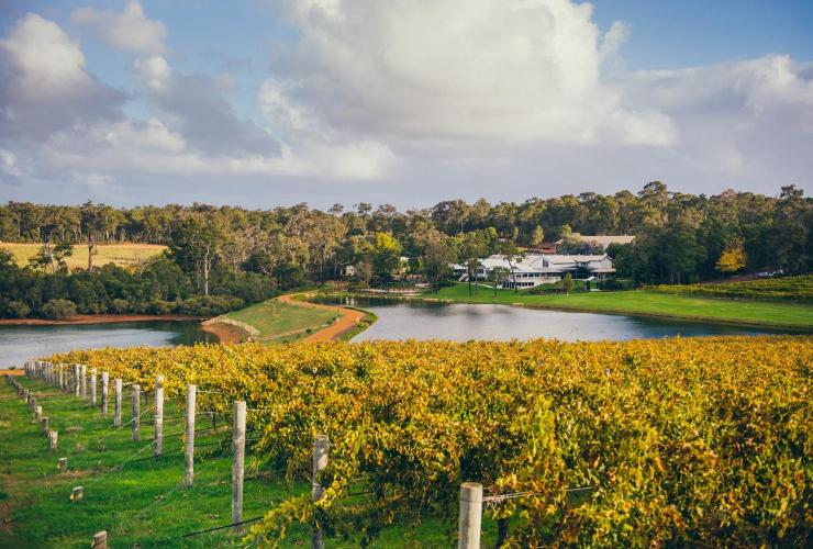 Aravina Estate, Margaret River, WA © Aravina Estate