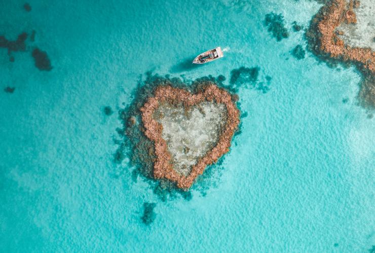 Heart Reef, Whitsundays, QLD © Saltywings