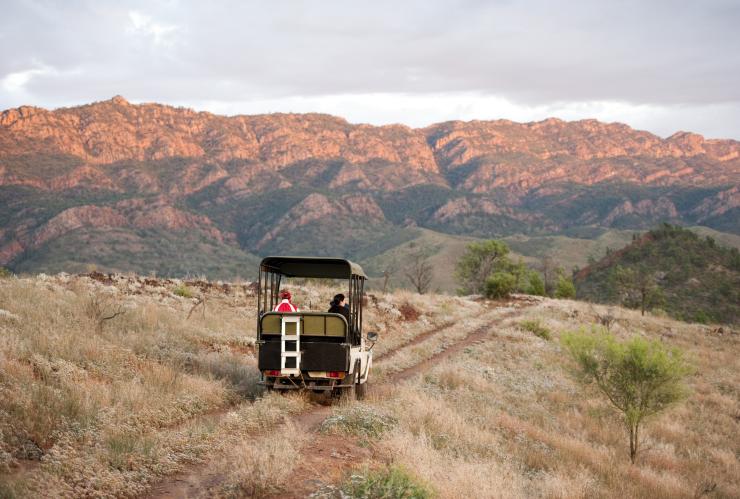 Two people riding in a buggy across a grassy hill toward a mountain range at Arkaba Conservancy, Flinders Ranges, South Australia © South Australian Tourism Commission/Cameron Bloom