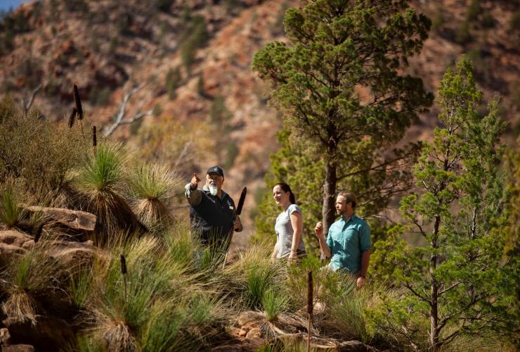 Wilpena Pound Resort, Flinders Ranges, South Australia © Tourism Australia