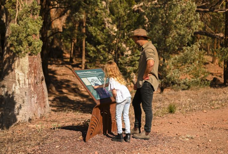 Wilpena Pound Resort, Flinders Ranges, South Australia © Tourism Australia