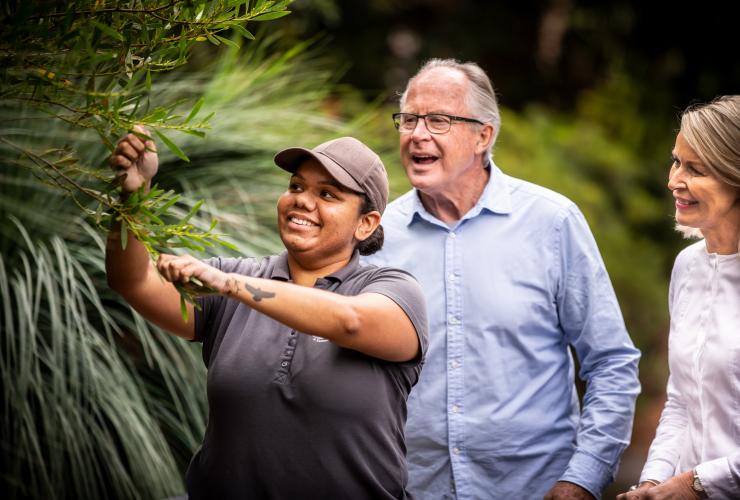 Aboriginal tours, The Royal Botanic Garden Sydney, New South Wales © Tourism Australia