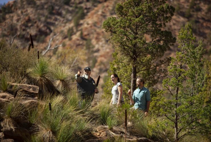 Wilpena Pound Resort, Flinders Ranges, South Australia © Tourism Australia