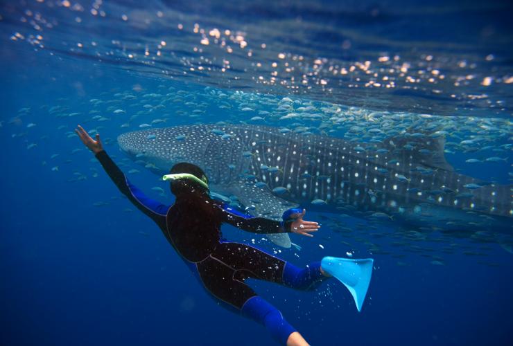 Ningaloo Reef, Exmouth, Western Australia © Tourism Australia