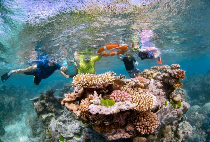 Dreamtime Dive and Snorkel, Great Barrier Reef, QLD © Tourism and Events Queensland