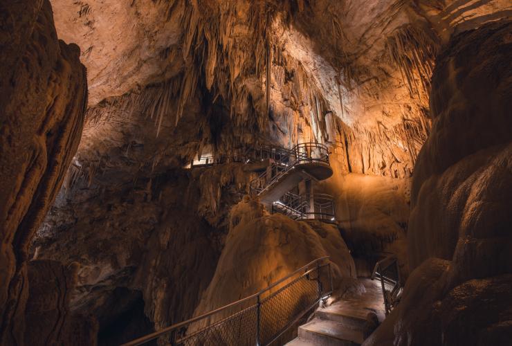 Newdegate Cave, Hastings Cave and Thermal Springs, Huon Valley, Tasmania © Jess Bonde