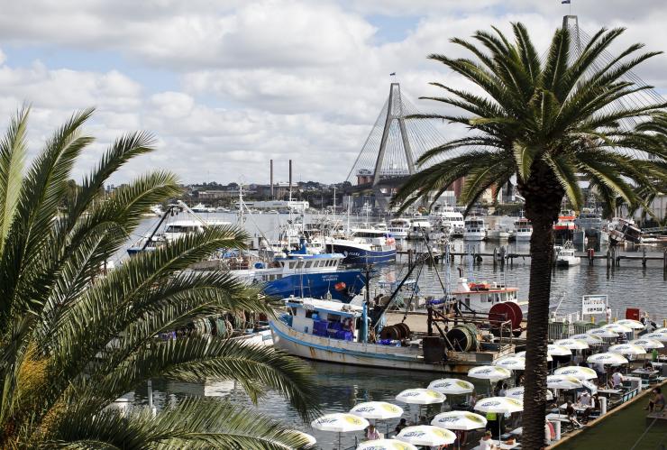 Sydney Fish Market at Pyrmont, Sydney, New South Wales © James Horan/ Destination NSW