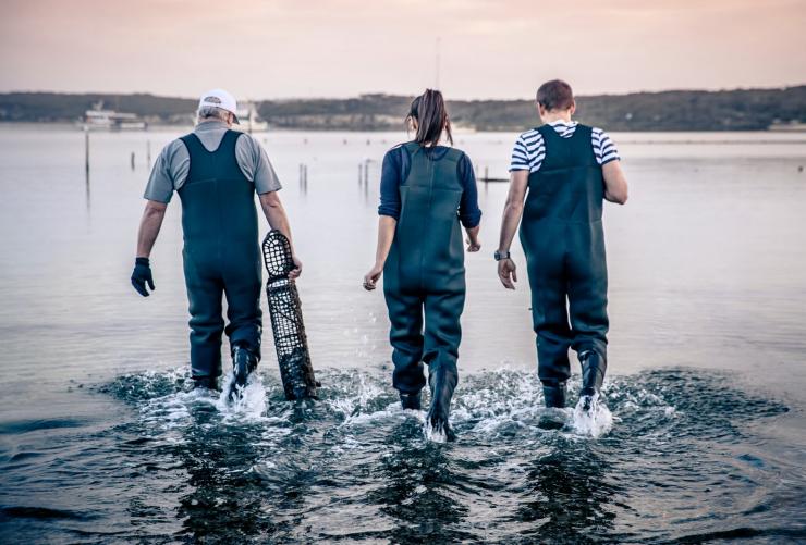 Experience Coffin Bay, Eyre Peninsula, South Australia © South Australian Tourism Commission